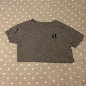 David Goggins Ethos Crop